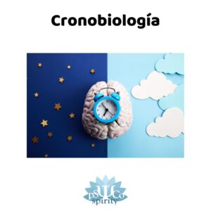 cronobiologia